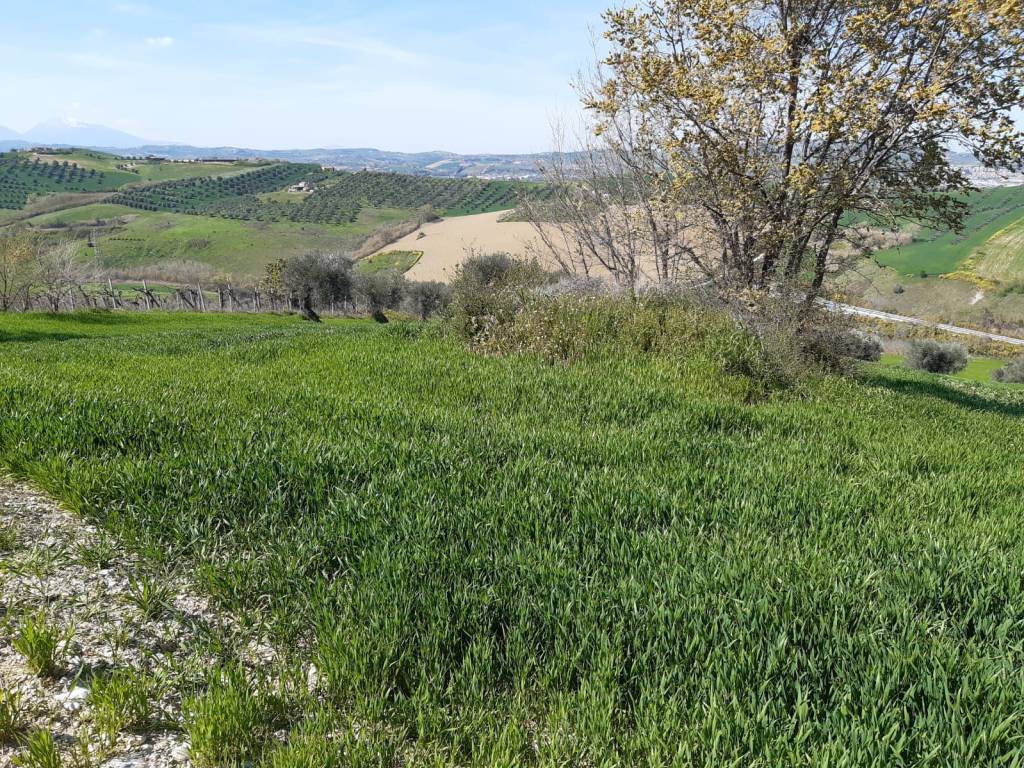 Rustico / casale a Atri in Contrada Reille - Foto 3