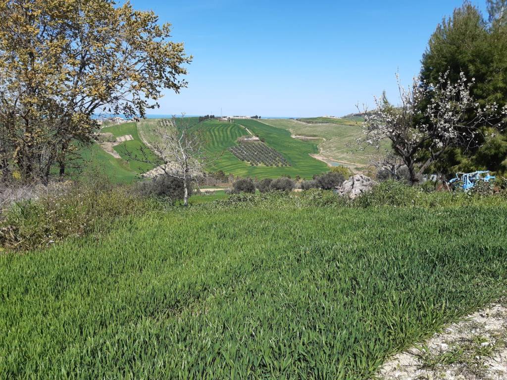 Rustico / casale a Atri in Contrada Reille - Foto 4