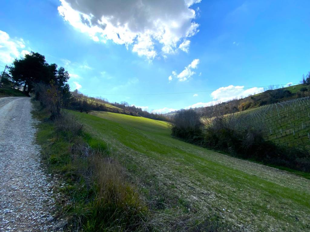 Casa indipendente a Montefiore dell'aso - Foto 3