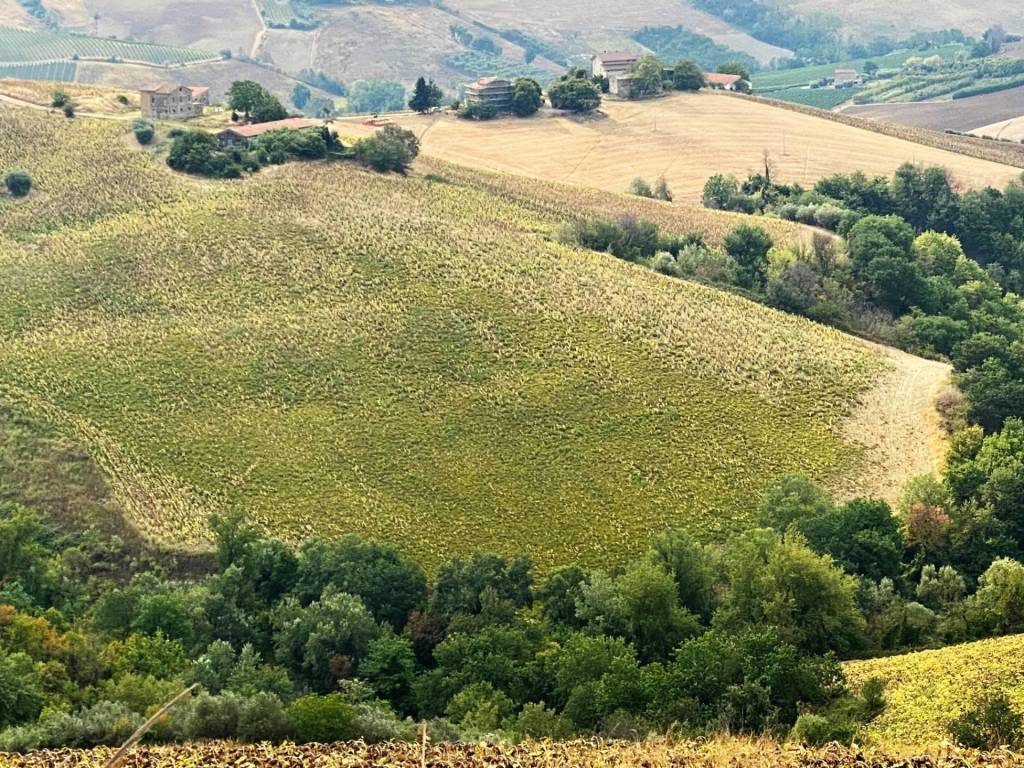 Terreno a Carassai - Foto 2