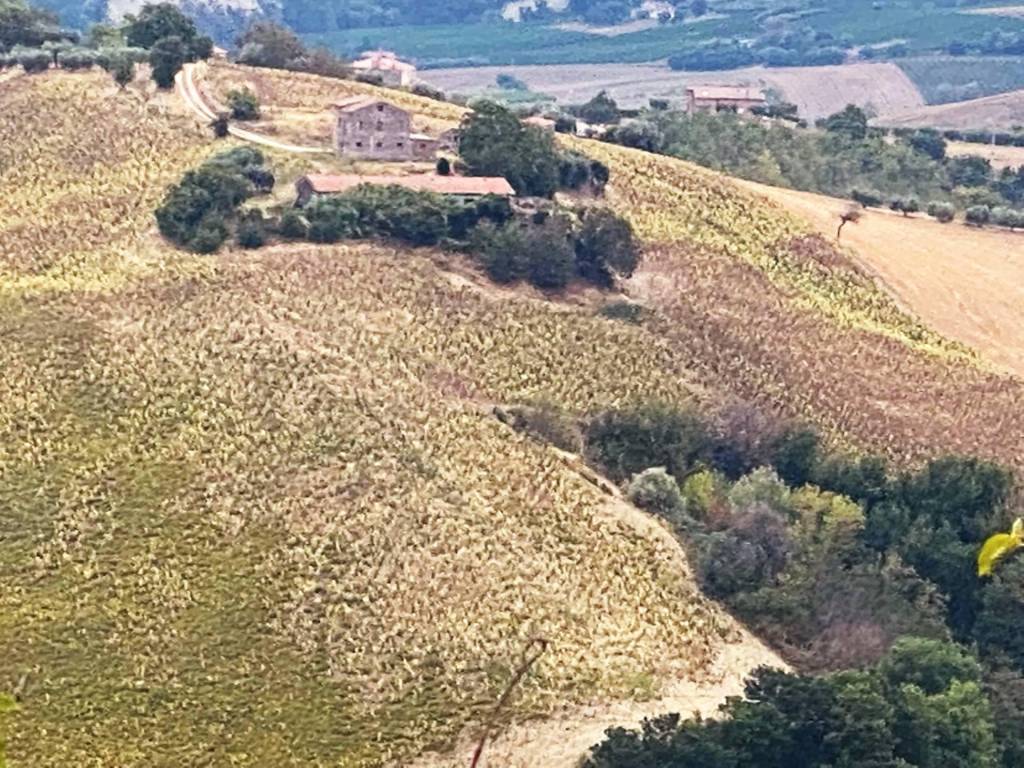 Terreno a Carassai - Foto 3