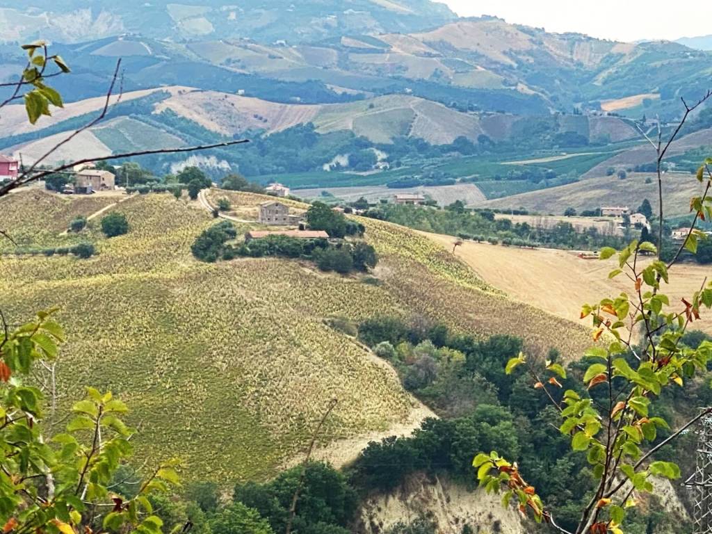 Terreno a Carassai - Foto 4
