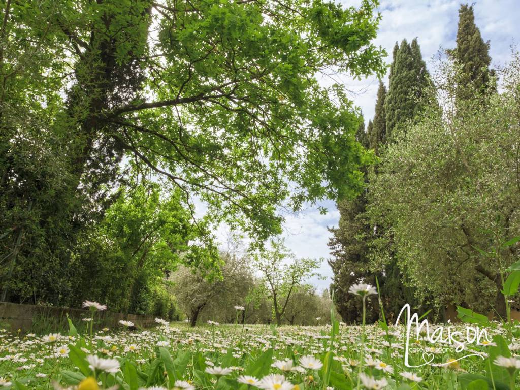 Villa a Carmignano in Via Consuma, 27 - Foto 3