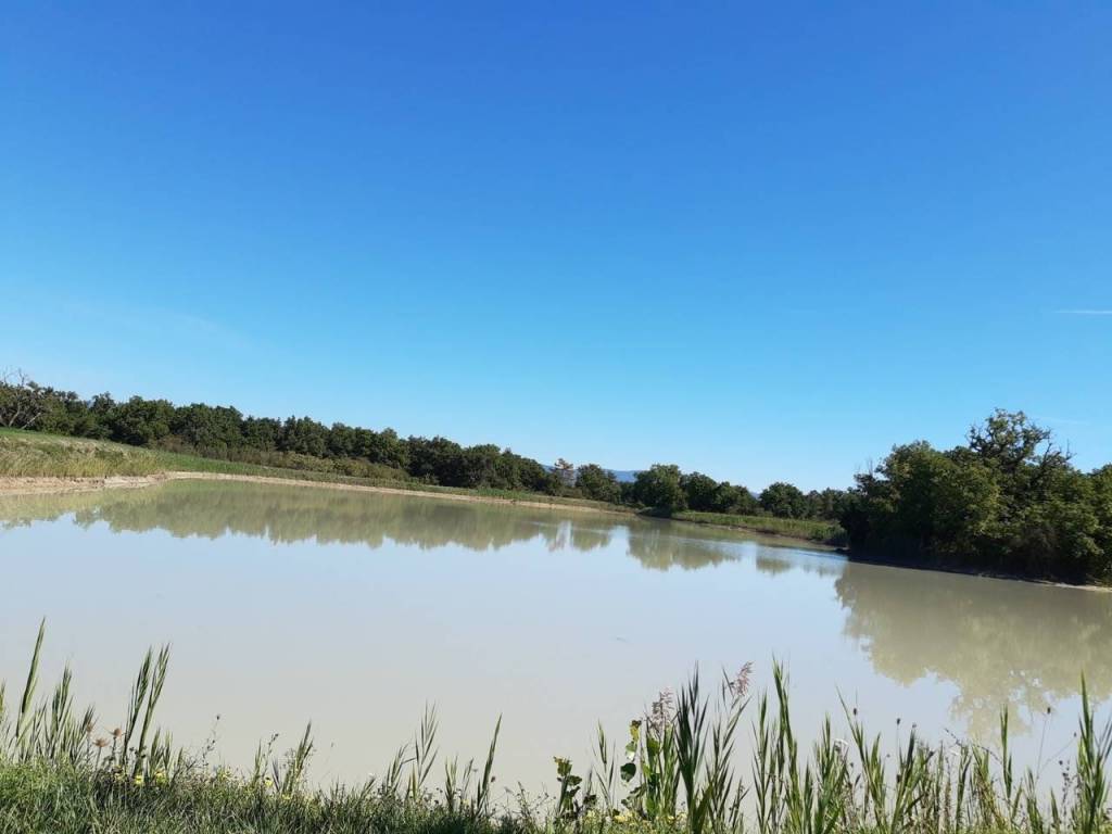 Immobile a Castiglione del lago - Foto 4
