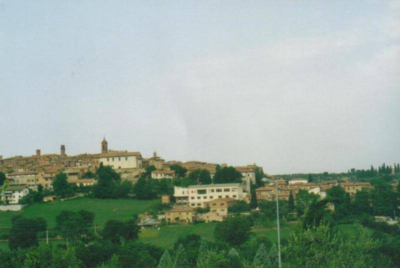 Terreno a Torrita di siena - Foto 3