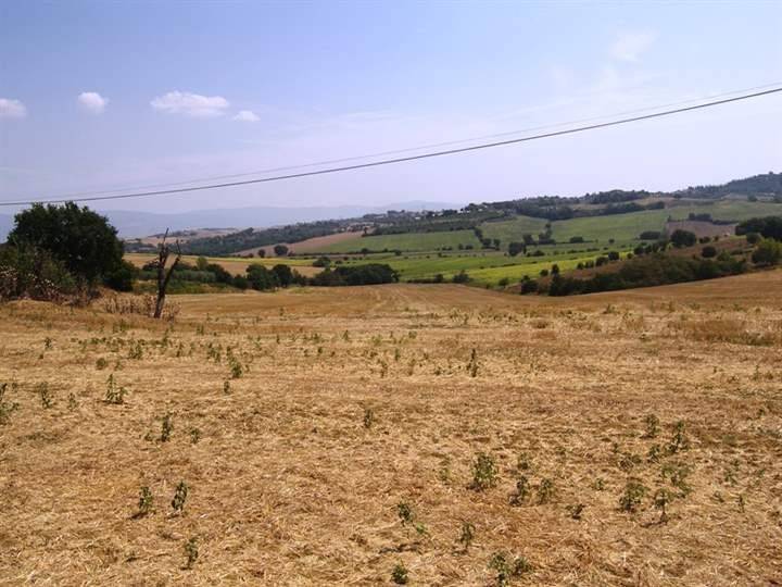 Terreno a Cortona - Foto 3