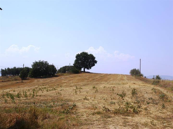 Terreno a Cortona - Foto 4