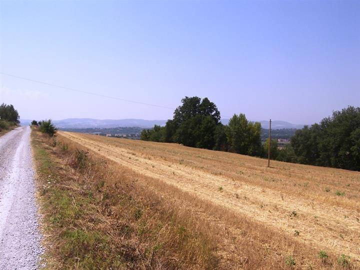 Terreno a Cortona - Foto 5