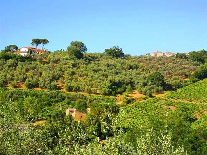 Immobile a Montepulciano - Foto 2