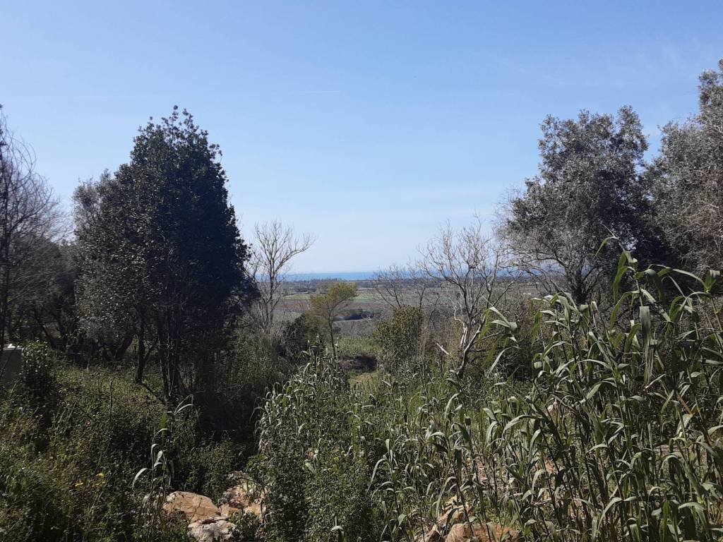 Villa a Tarquinia in Strada Bandita del Casal Nuovo - Foto 4