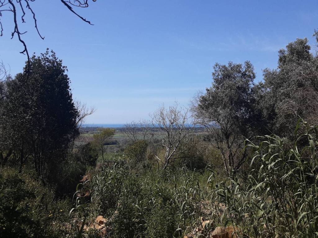 Villa a Tarquinia in Strada Bandita del Casal Nuovo - Foto 5