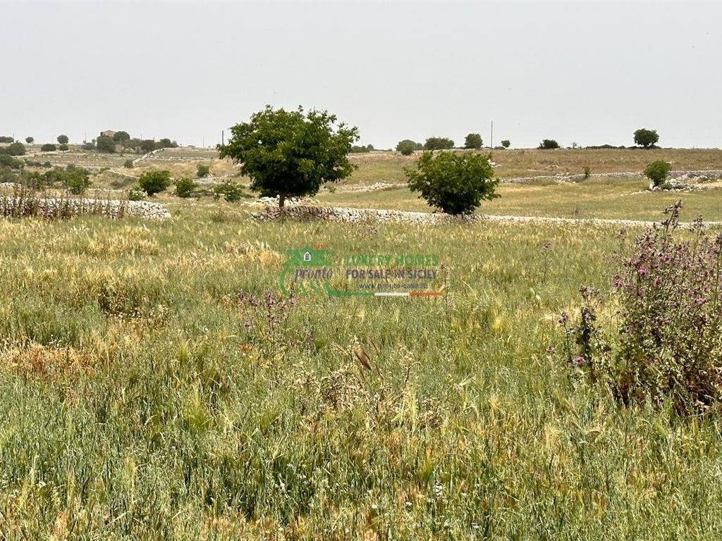 Terreno a Ragusa in STRADA PROVINCIALE 116 - Foto 5