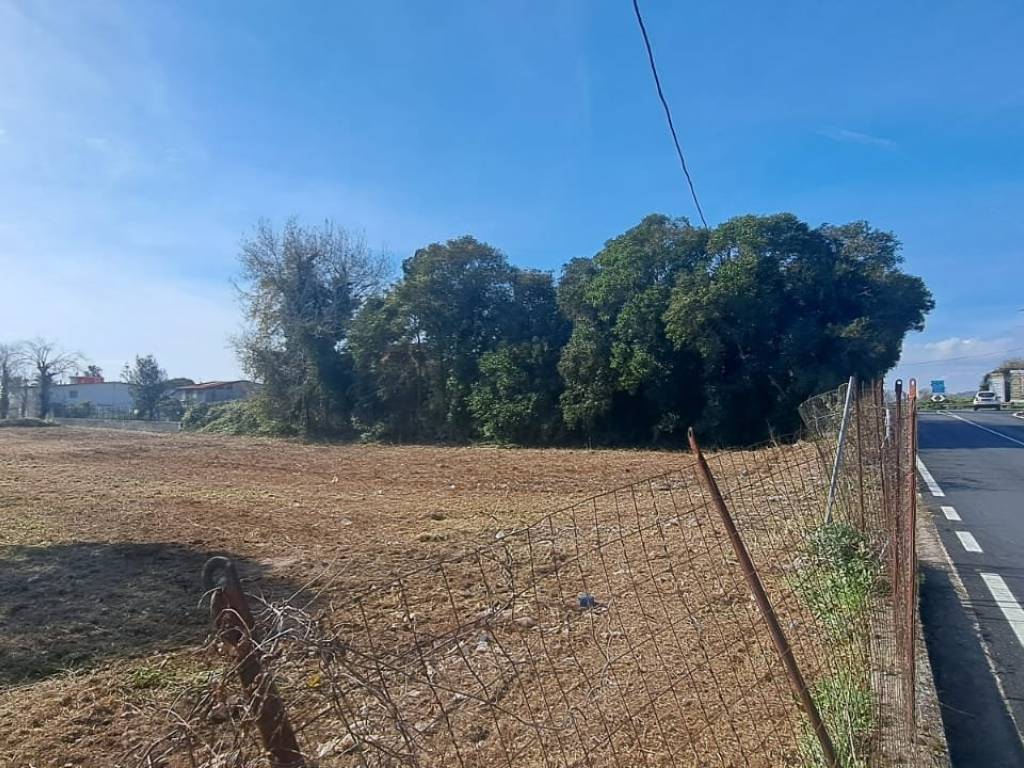 Terreno a Bellizzi in SP136 - Foto 5