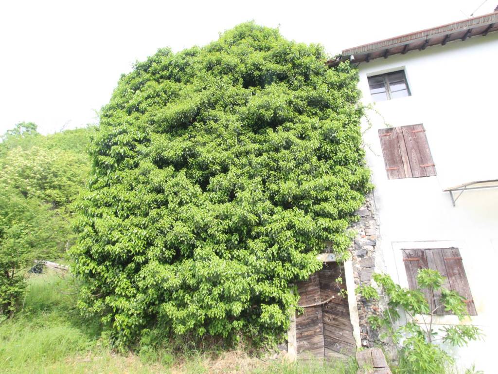 Rustico / casale a Roncà in Via Nieri - Foto 2