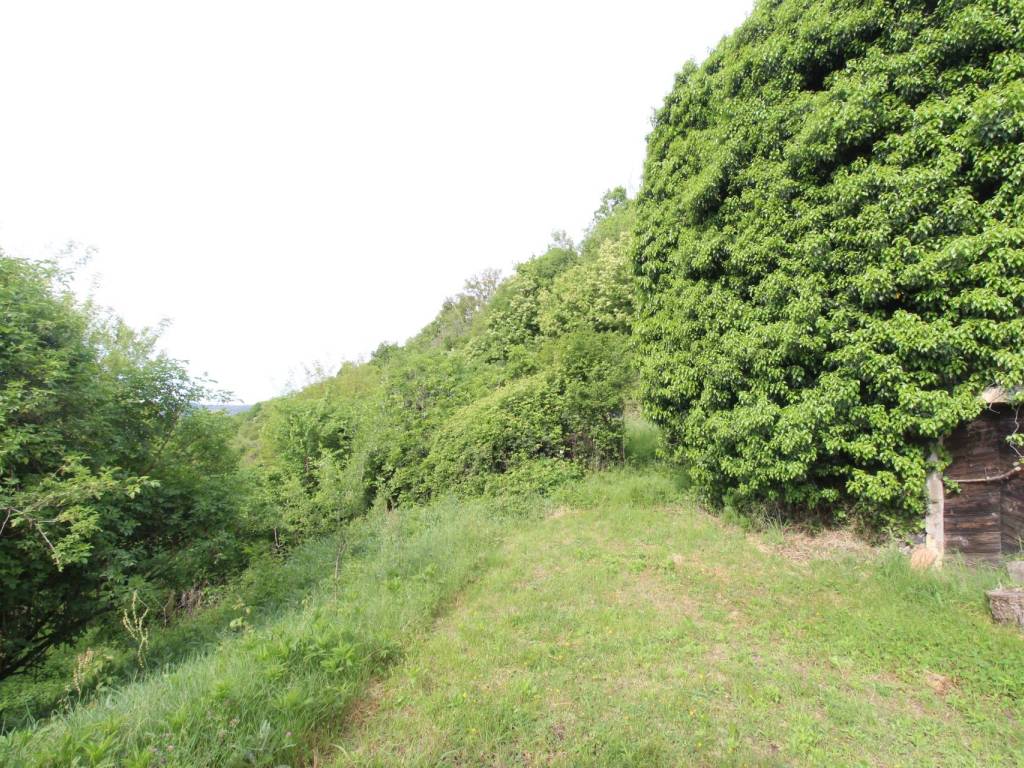 Rustico / casale a Roncà in Via Nieri - Foto 4