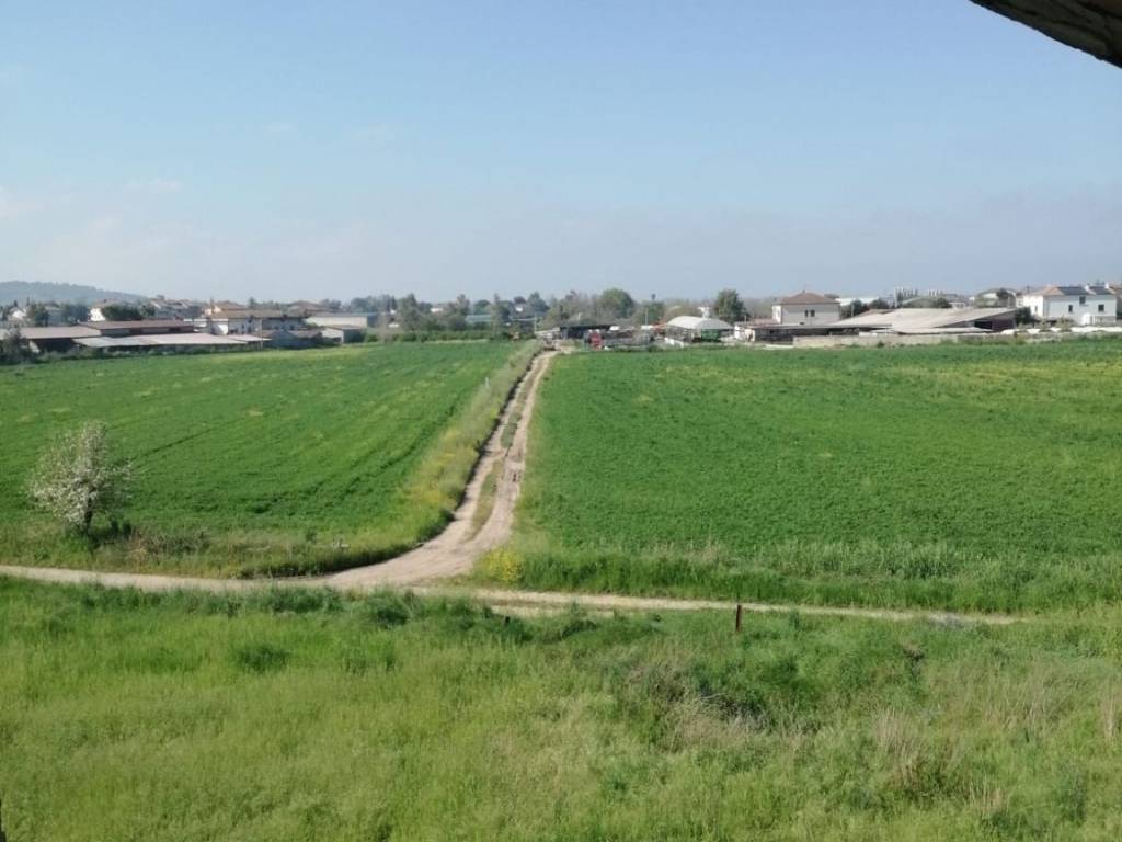 Rustico / casale a Albanella in Via Bisceglie - Foto 2