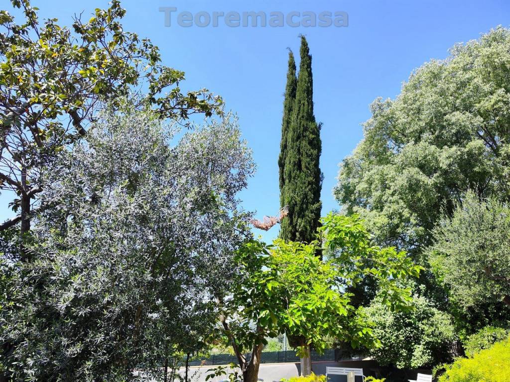 Appartamento a Firenze in Via della Capponcina, 81 - Foto 5