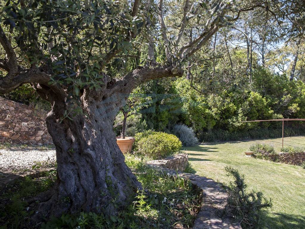 Villa a Monte argentario in Strada Mandrioli - Foto 4