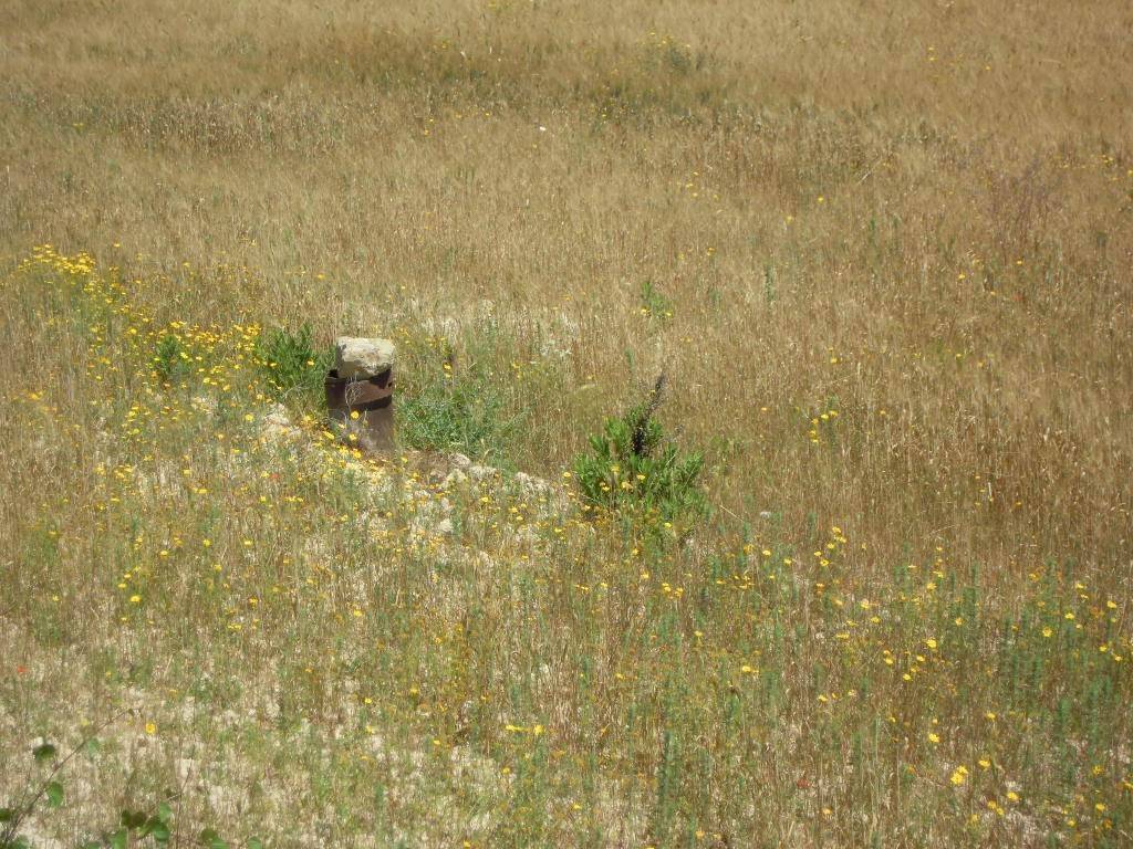 Terreno a Pachino - Foto 2