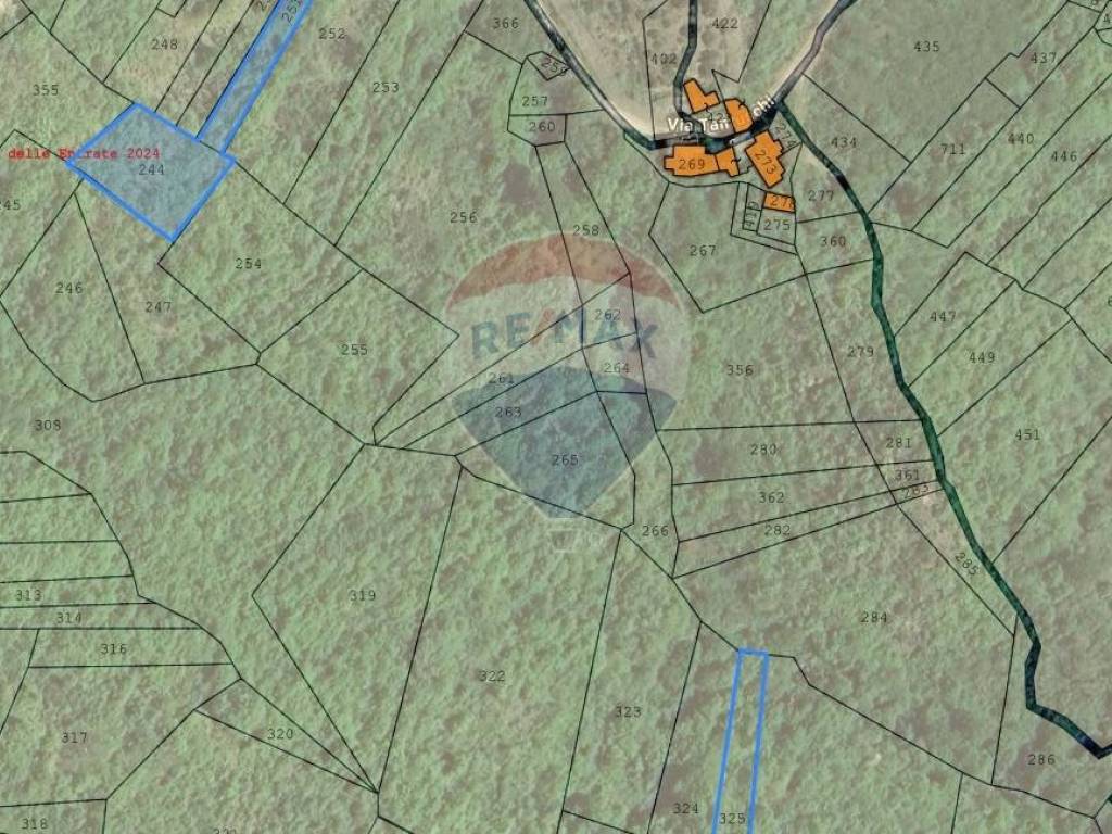 Terreno a Ceppaloni - Foto 5