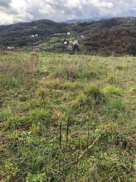 Terreno a Cosenza in VIA TIMPONE DEGLI ULIVI - Foto 5
