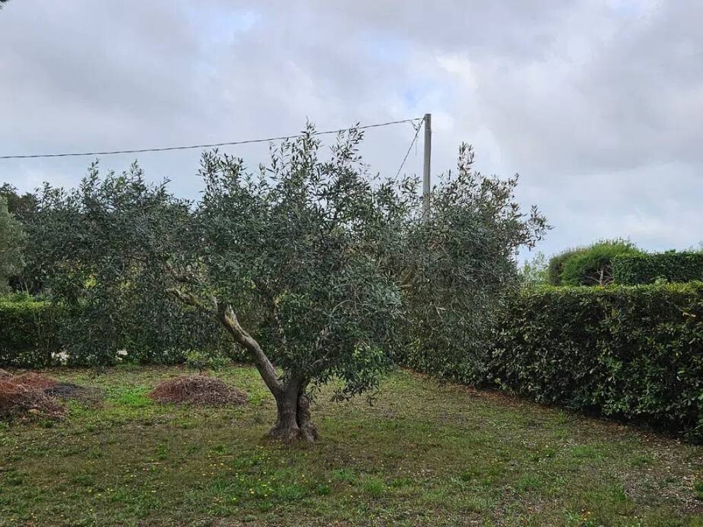 Villa a Montalto di castro in Località La Valeria S.N.C. - Foto 2