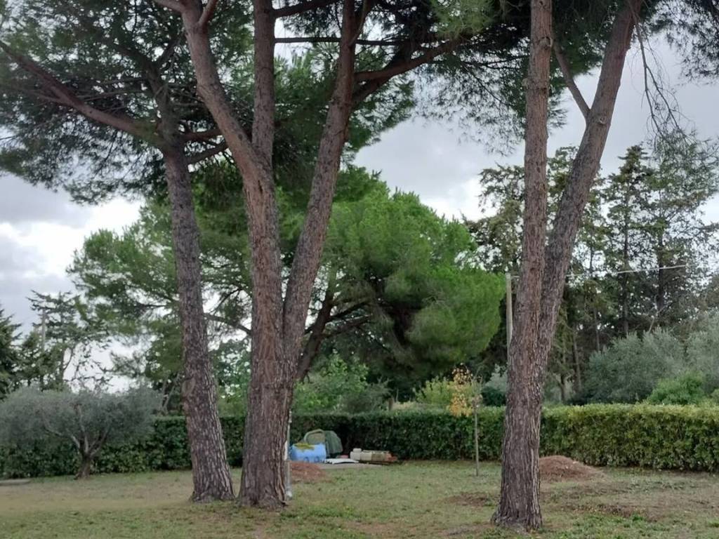 Villa a Montalto di castro in Località La Valeria S.N.C. - Foto 3