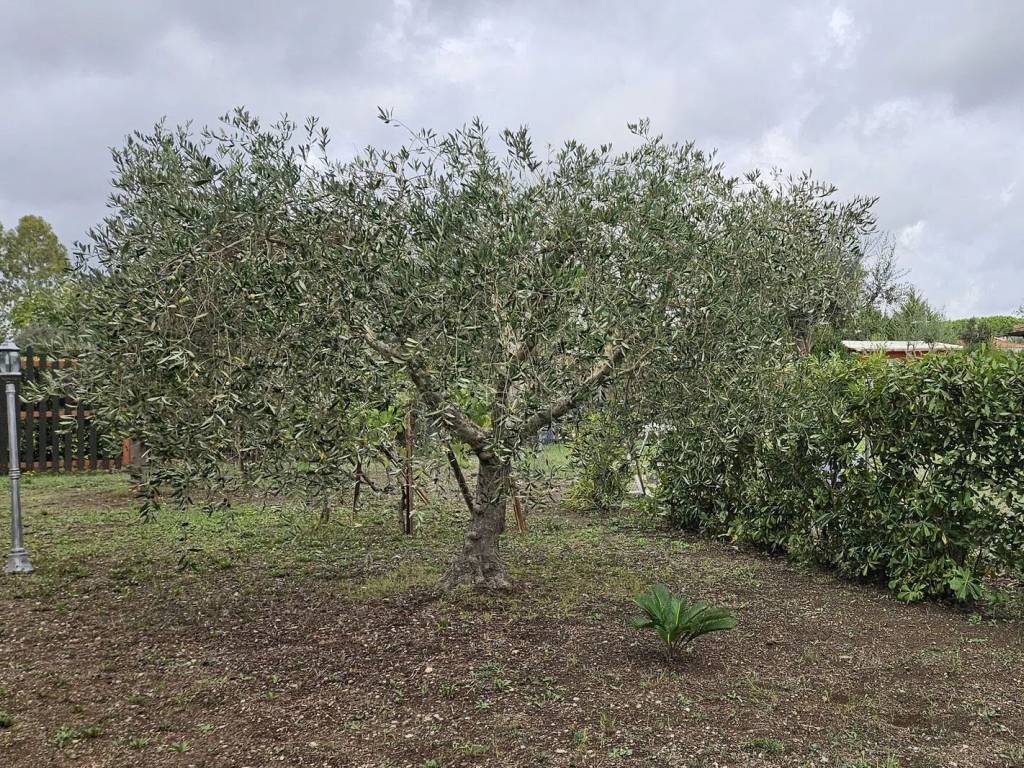 Villa a Montalto di castro in Località La Valeria S.N.C. - Foto 5