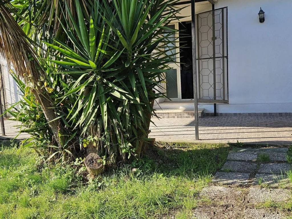 Appartamento a Montalto di castro in Via Picciano S.N.C. - Foto 2