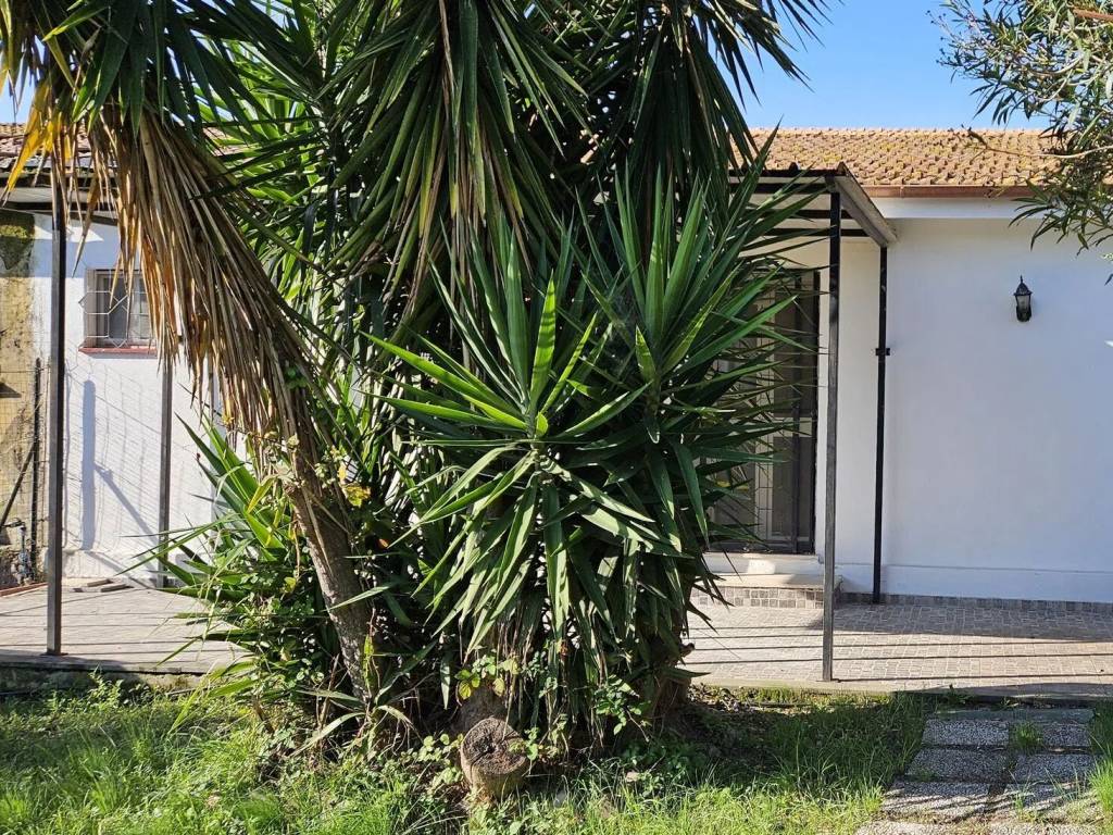 Appartamento a Montalto di castro in Via Picciano S.N.C. - Foto 3