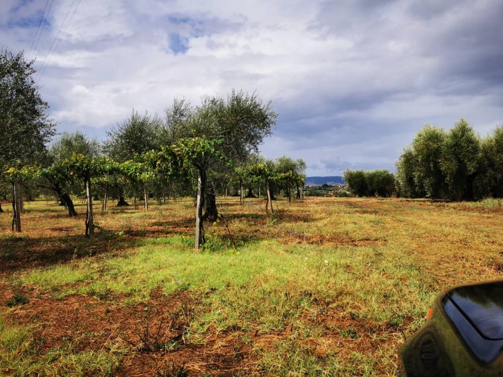 Terreno a Fara in sabina in Via Salaria Vecchia - Foto 3