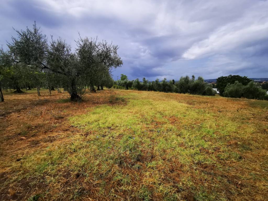 Terreno a Fara in sabina in Via Salaria Vecchia - Foto 4