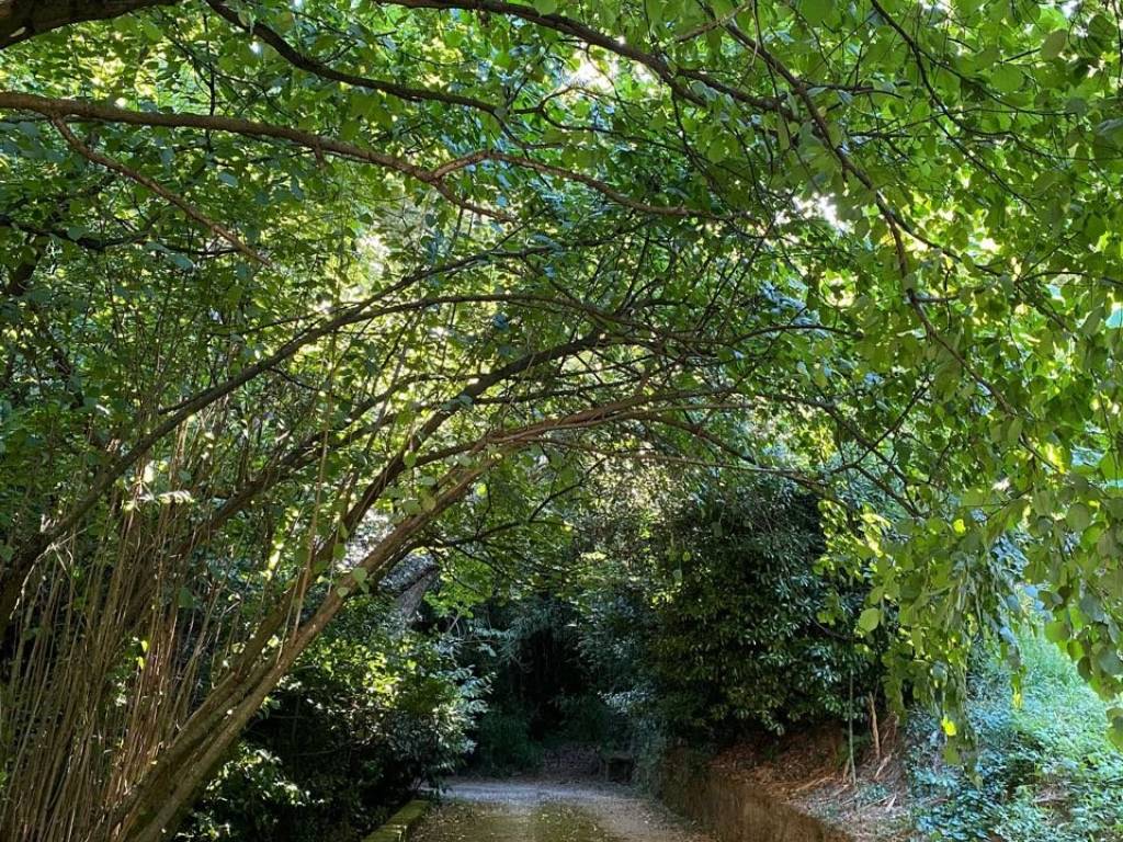 Villa a Pescia in Via San Domenico, 2 - Foto 5
