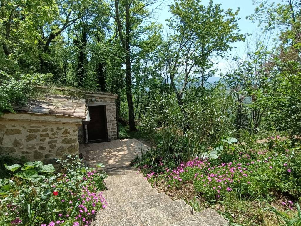Rustico / casale a San severino marche in Aliforni - Foto 5