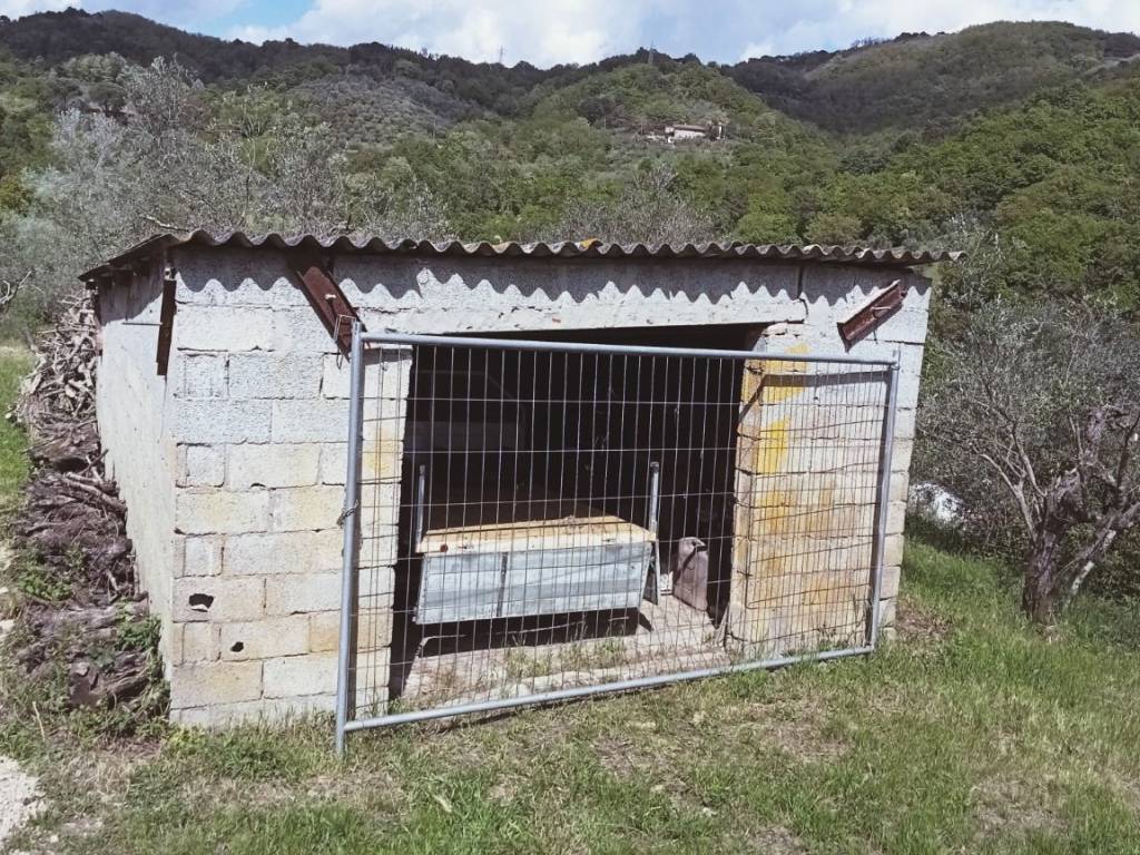 Rustico / casale a Monsummano terme - Foto 2
