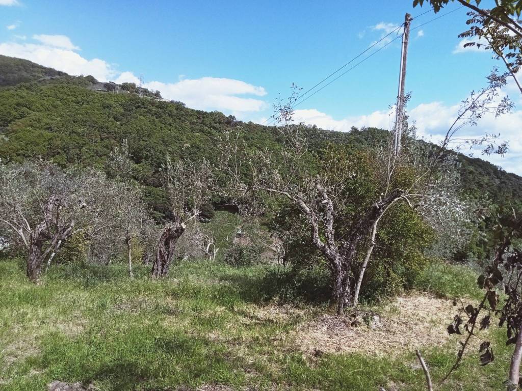 Rustico / casale a Monsummano terme - Foto 3