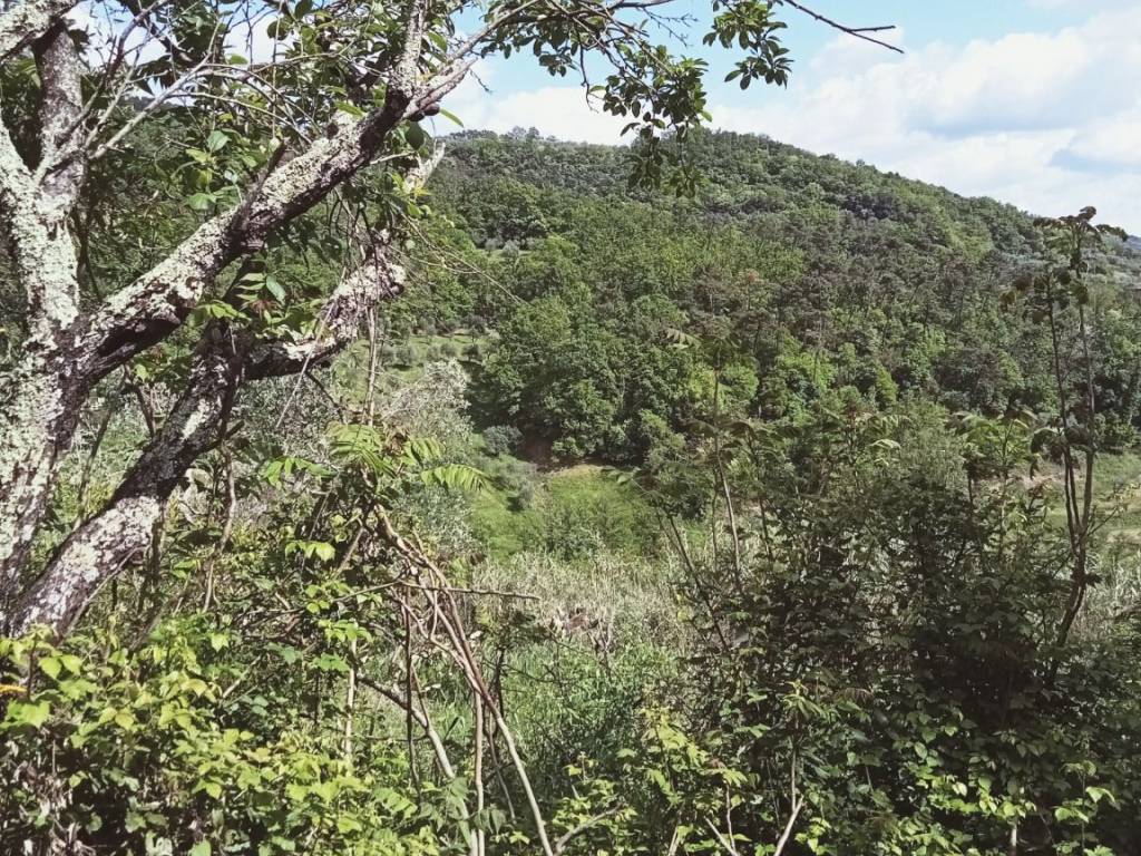 Rustico / casale a Monsummano terme - Foto 4
