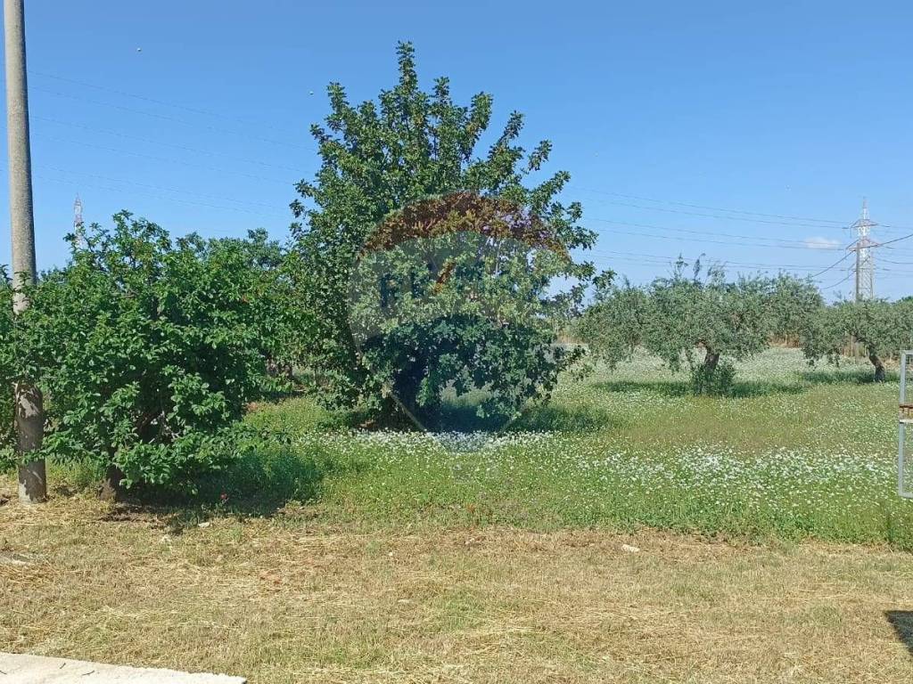 Appartamento a Chiaramonte gulfi in contrada gerardo - Foto 5