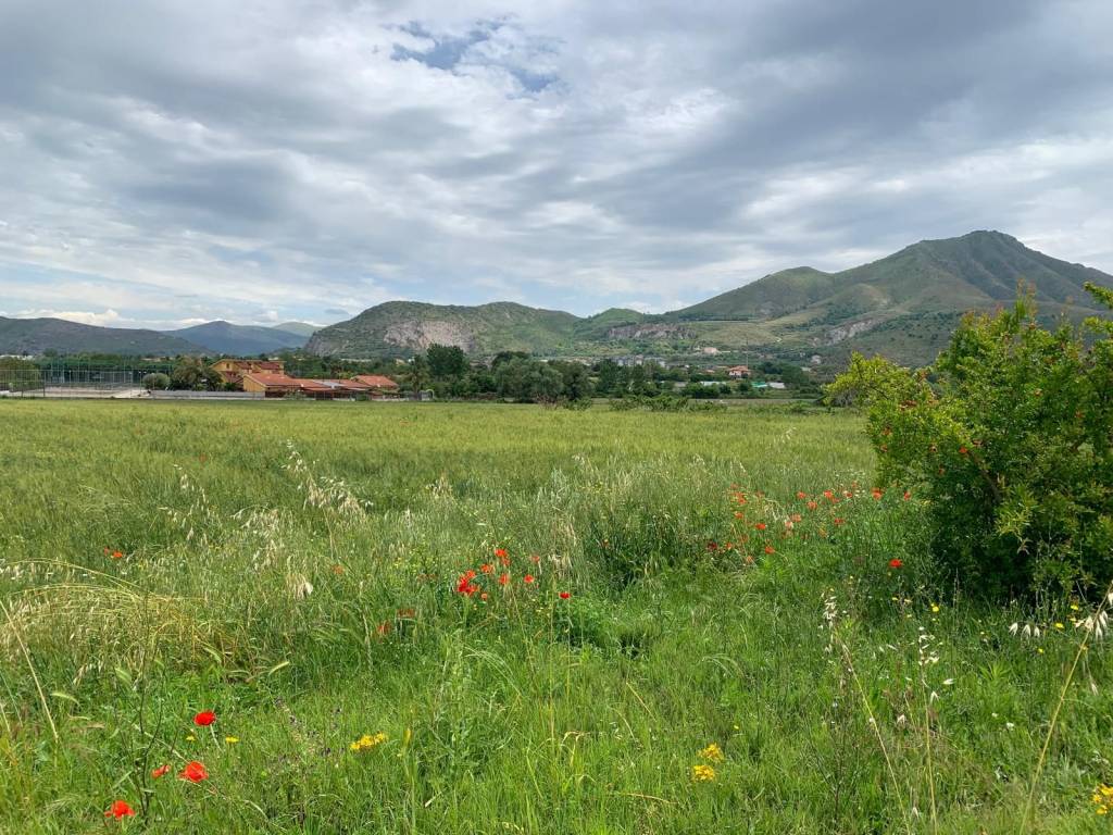 Terreno a Capua in Via Giuseppe Baccaro - Foto 4