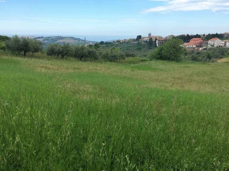 Appartamento a Cupello - Foto 2