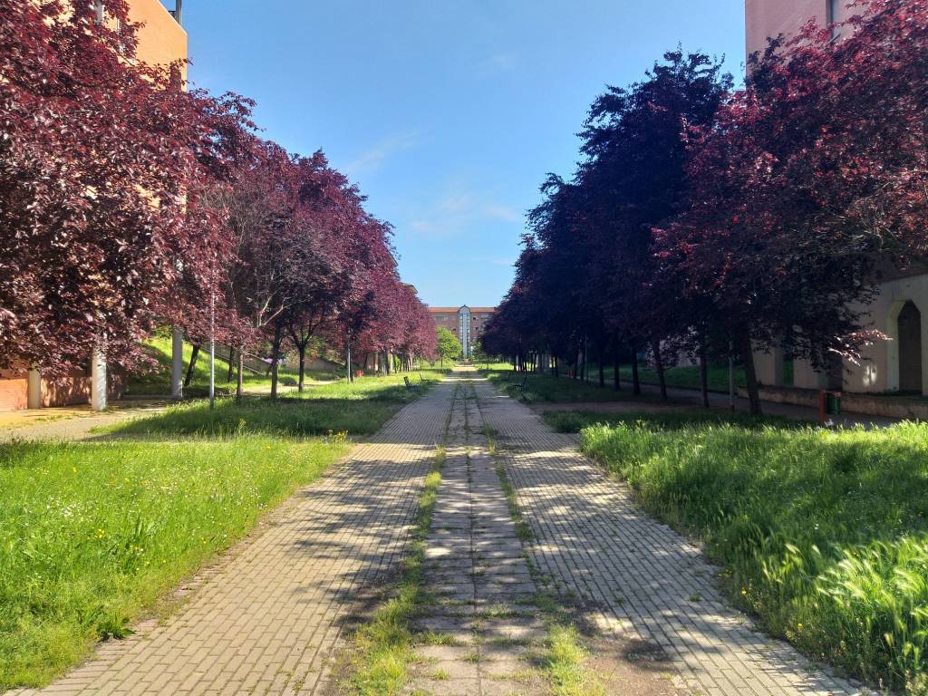 Appartamento a Bologna in Via Ferrarese, 156/3 - Foto 3