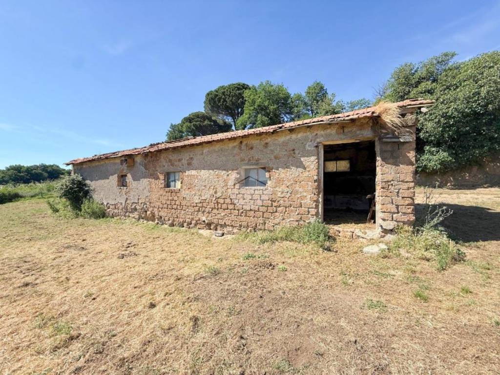 Rustico / casale a Nepi in Località Monte Calderone, 107 - Foto 4