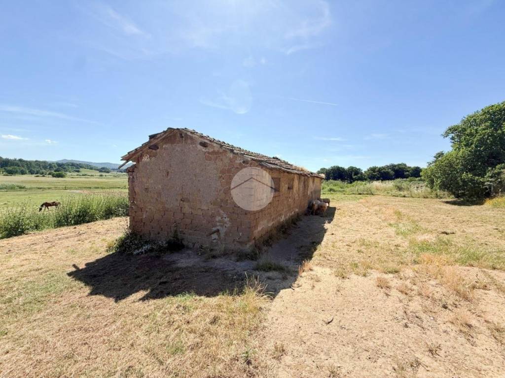 Rustico / casale a Nepi in Località Monte Calderone, 107 - Foto 5