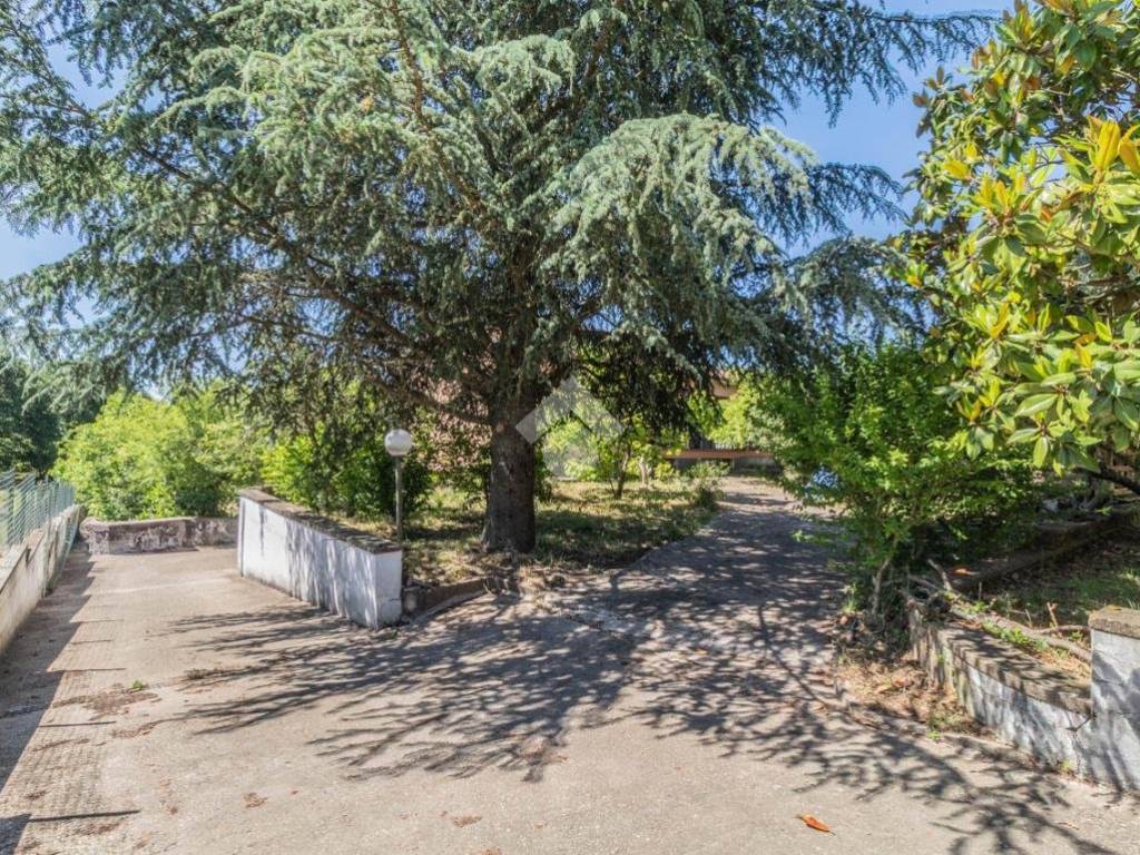 Villa a Bassano romano in LOCALIÀ VALLE QUARANTA, 9 - Foto 4