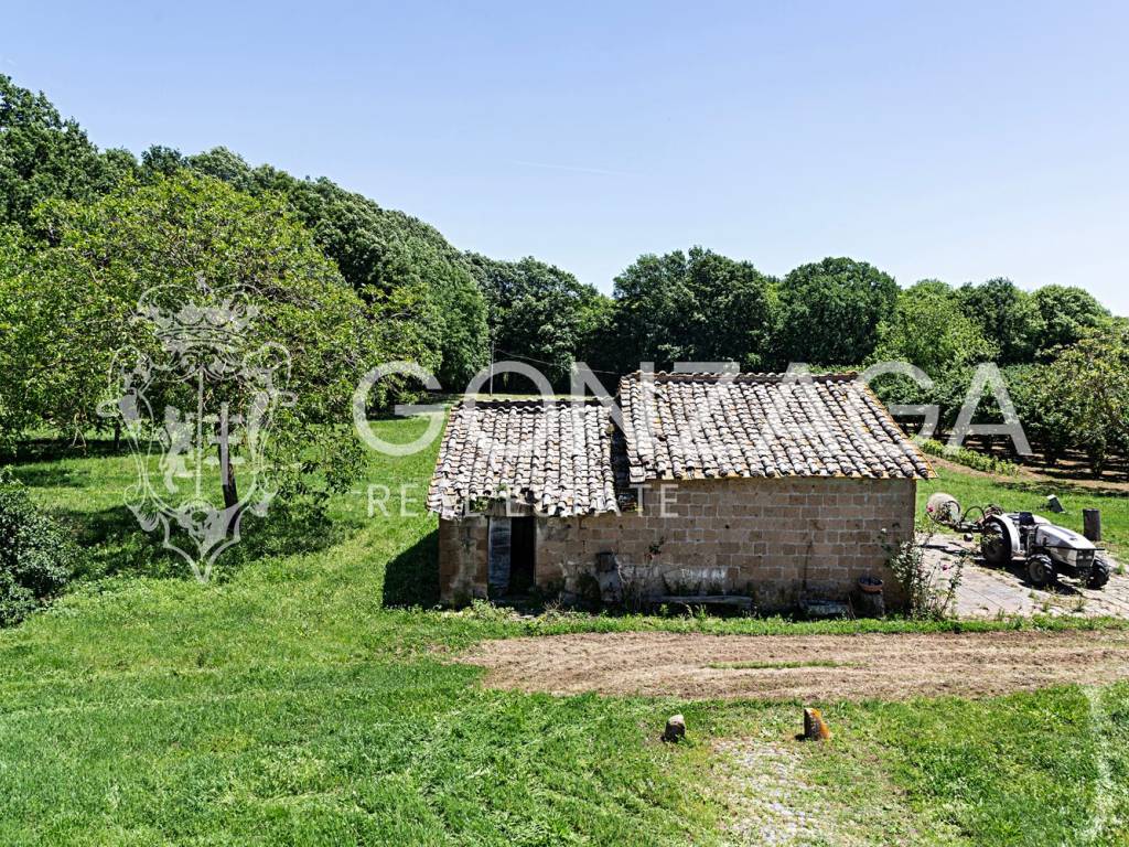 Rustico / casale a Capranica in Località Pajanello - Foto 5