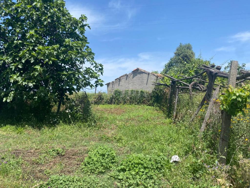 Rustico / casale a Cessaniti in Via Messina Località Sant'Andrea - Foto 2