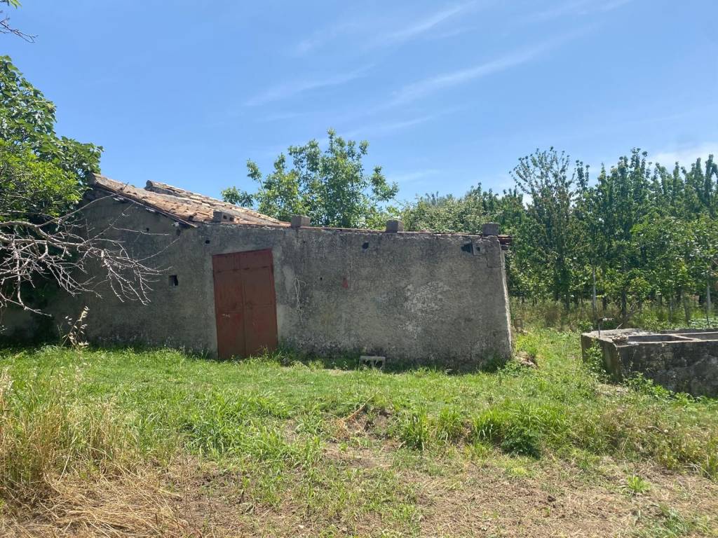 Rustico / casale a Cessaniti in Via Messina Località Sant'Andrea - Foto 4