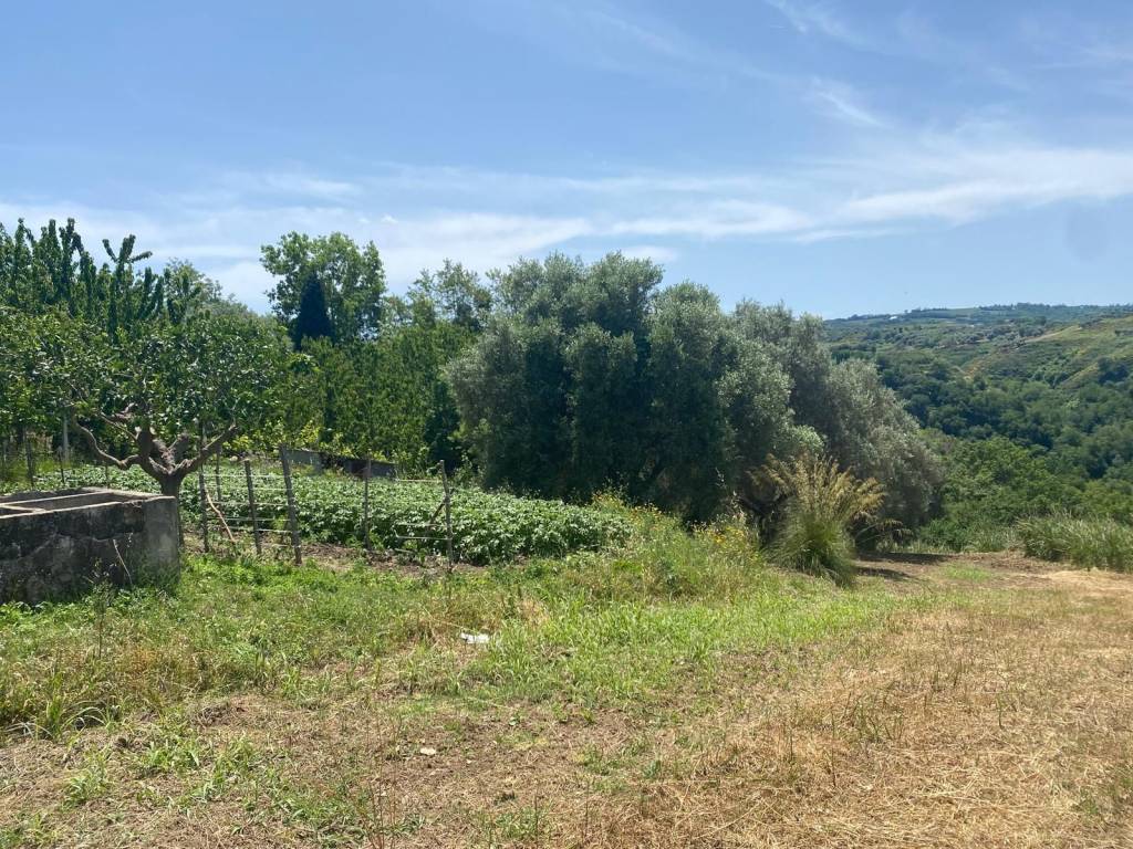 Rustico / casale a Cessaniti in Via Messina Località Sant'Andrea - Foto 5