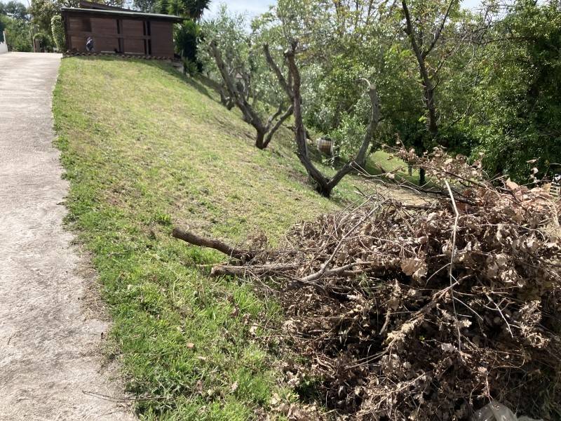 Terreno a Vasto - Foto 2