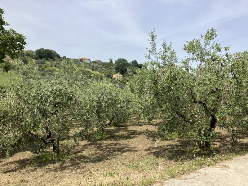 Terreno a Vasto - Foto 4